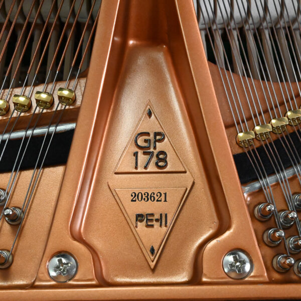 Used Boston GP-178 PE-II Ebony Polish - Image 3