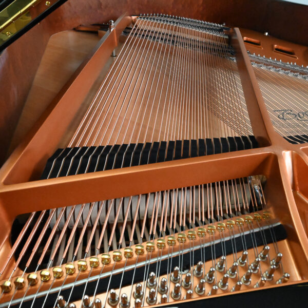 Used Boston GP-178 PE-II Ebony Polish - Image 4