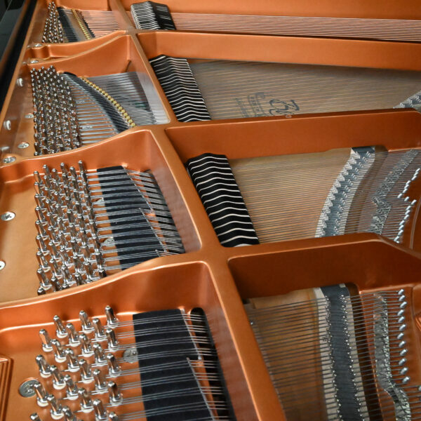 Used Boston GP-178 PE-II Ebony Polish - Image 5