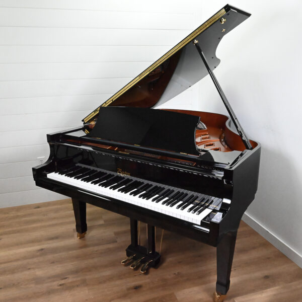 Used Boston GP-178 PE-II Ebony Polish