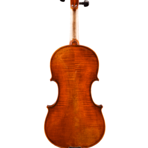 Eastman 5 String VL7015SBC+ Acoustic/Electric violin - Image 2