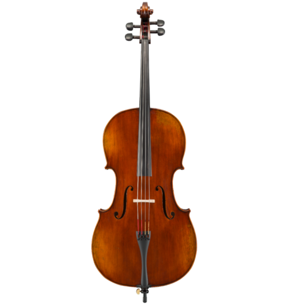 USED Eastman VC401 Cello Ivan Dunov