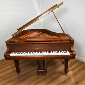 Used Young Chang G175